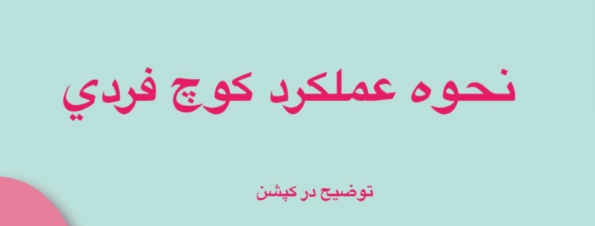 نحوه عملکرد کوچ فردی